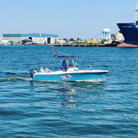 Standard Boat 24 Ft Sea Hunt